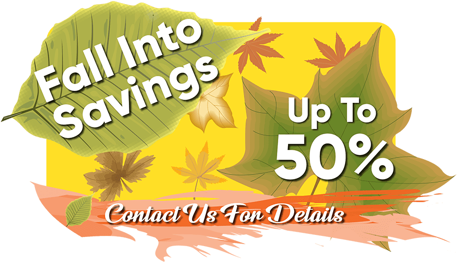 Fall Intro Savings Fall Intro Savings
